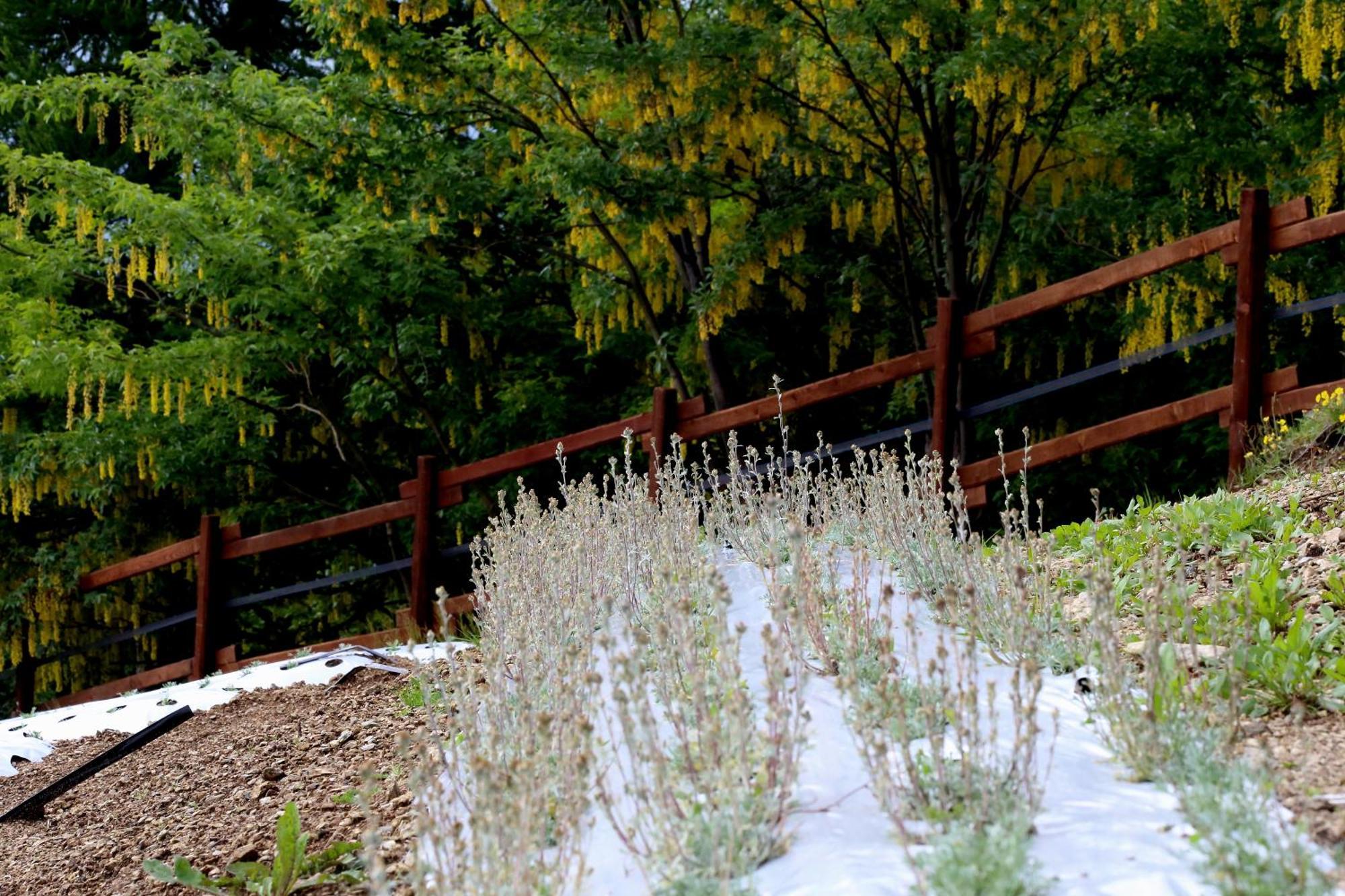 Ostana Agriturismo A Nostro Mizoun מראה חיצוני תמונה